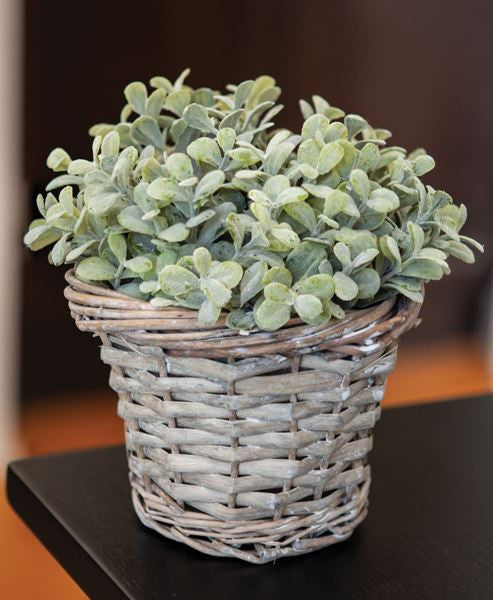 Graywash Willow Wrapped Basket